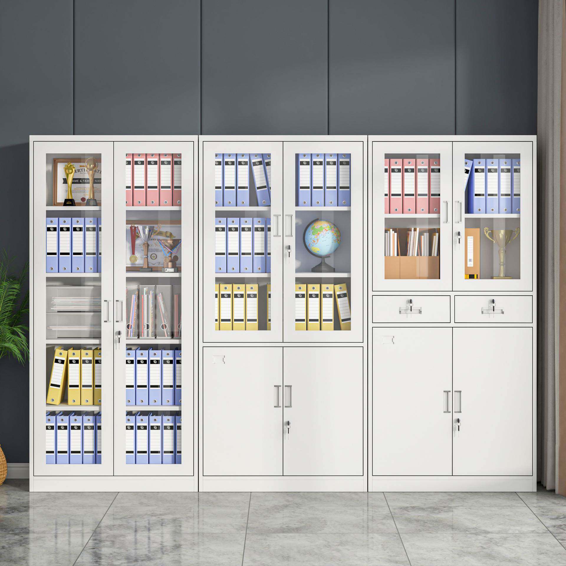 文件柜办公资柜料柜收纳柜加厚档案柜DXS-wjg带锁财务室凭证储物