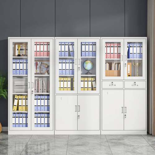 文件柜办公资柜料柜收纳柜加厚档案柜DXS-wjg带锁财务室凭证储物