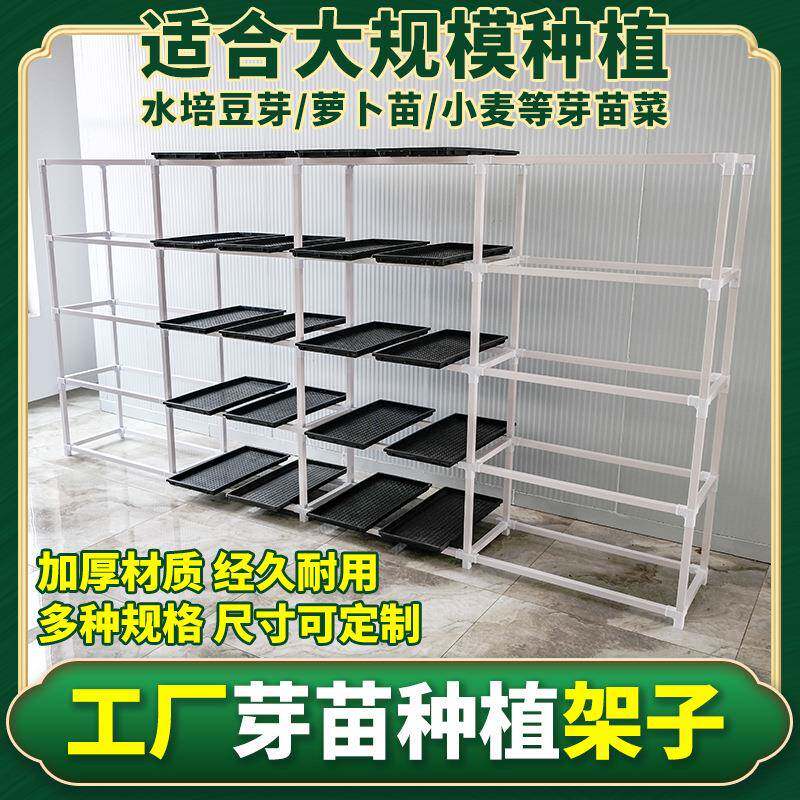 工厂豆芽发芽盆水培设备豌豆苗种植架无土栽培托芽苗菜育苗盘架子