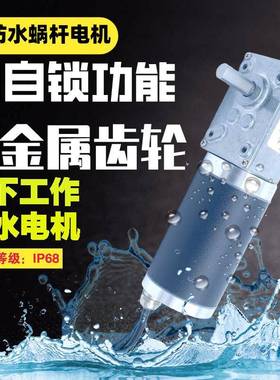 ZFY5840-42防水等级IP68减速电机金属齿轮蜗轮蜗杆防尘潜水电动机