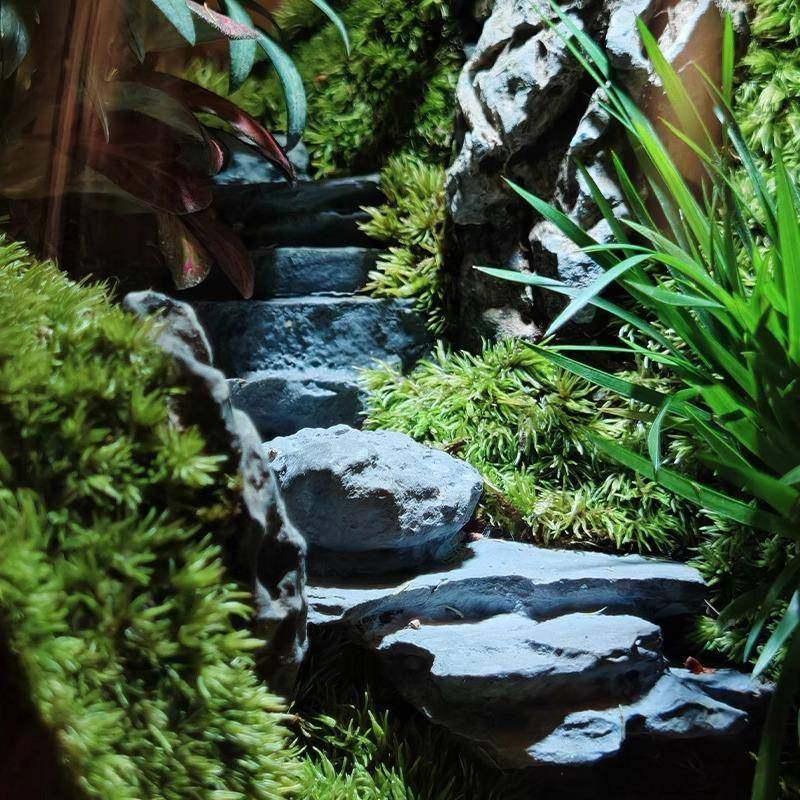 景成面功之路观公瓶生命之树创意苔藓微摆件办室桌缸绿植造QEM景,鲜花速递/花卉仿真/绿植园艺,苔藓微景观,淘宝优惠券,粉丝福利购,淘宝优惠卷