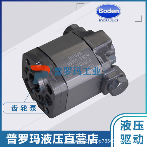 BODENBHP2.6B0/BHP2.6A1/BHP2.6A2DSR36/38/40/44-R博顿齿轮泵