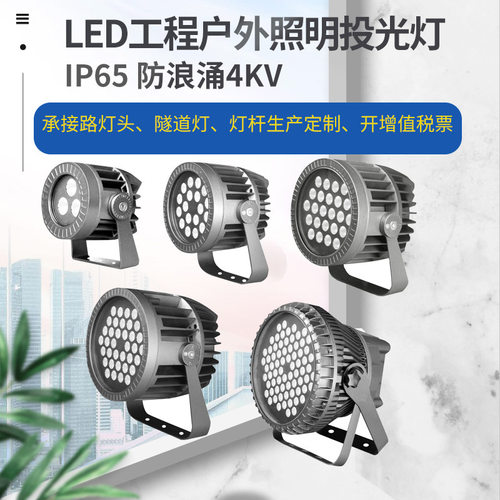 新款私模投光灯户外景观亮化市政工程楼体酒店照明LED投光灯