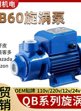 QB旋涡泵QB60/70/80清水漩涡泵AC220V/110V/127V太阳能板DC12V24V