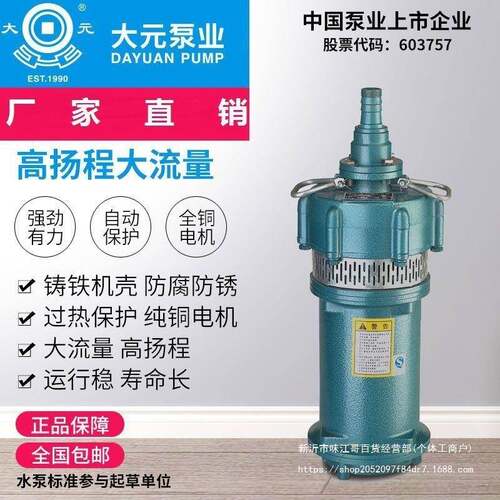 大元QD潜水泵多级小老鼠家用大流量农用灌溉高扬程单相220V喷泉泵