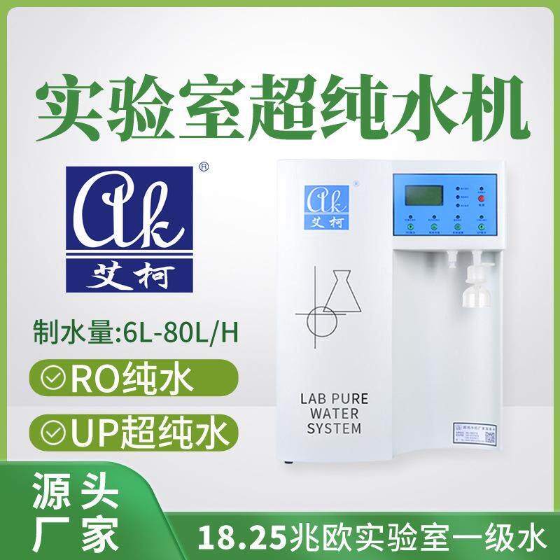 艾柯超纯水器6L-80L/H化学实验室用超纯水一级水制取实验室设备