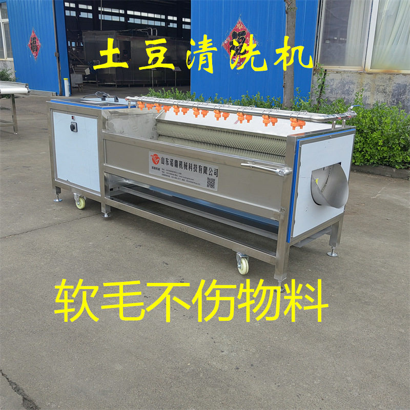 旺源供应毛棍清洗机 大型毛棍清洗设备  清洗蔬菜机器 白菜清洗机