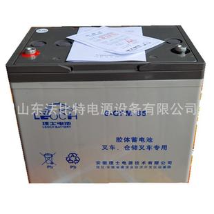 江苏理士6 85LEOCH蓄电池12V85AH中力合力诺力电动叉车现货 GFM