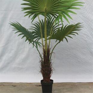 大型落地景观装饰塑料假花客厅装饰假绿植仿真棕竹葵树盆栽