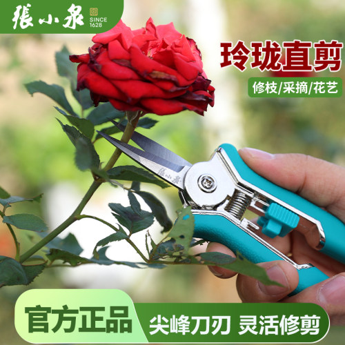 张小泉园艺剪刀修枝剪剪树枝