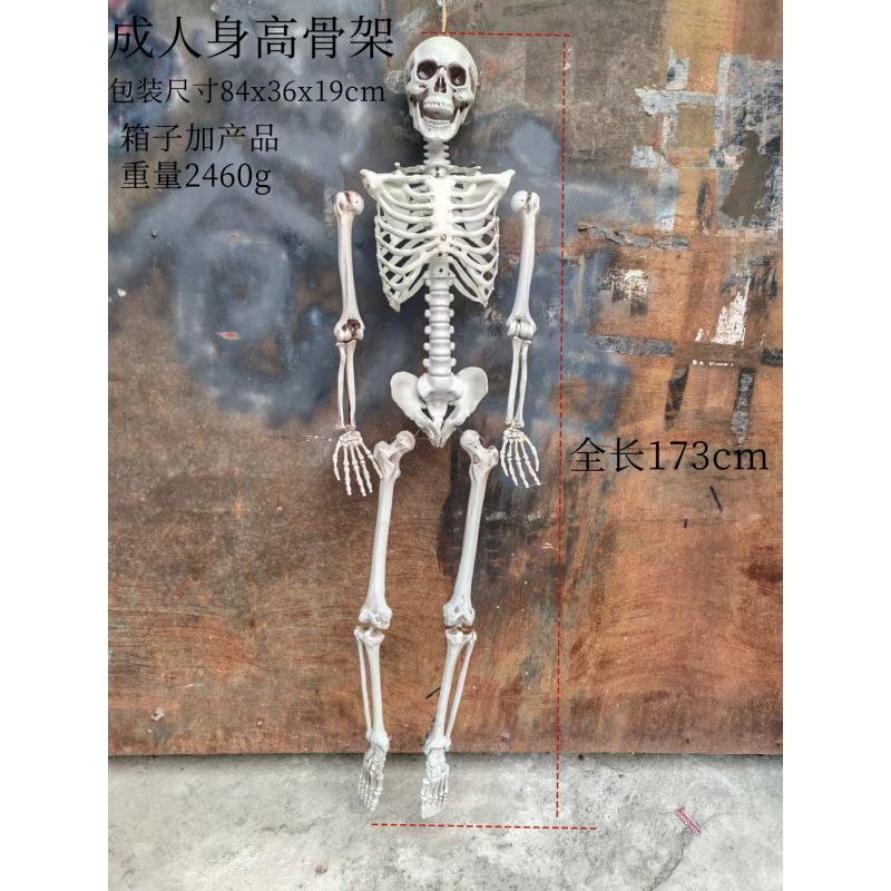 新款170米大骷髅骨架可站立万圣节仿真骨架装饰道具塑料人体骷髅