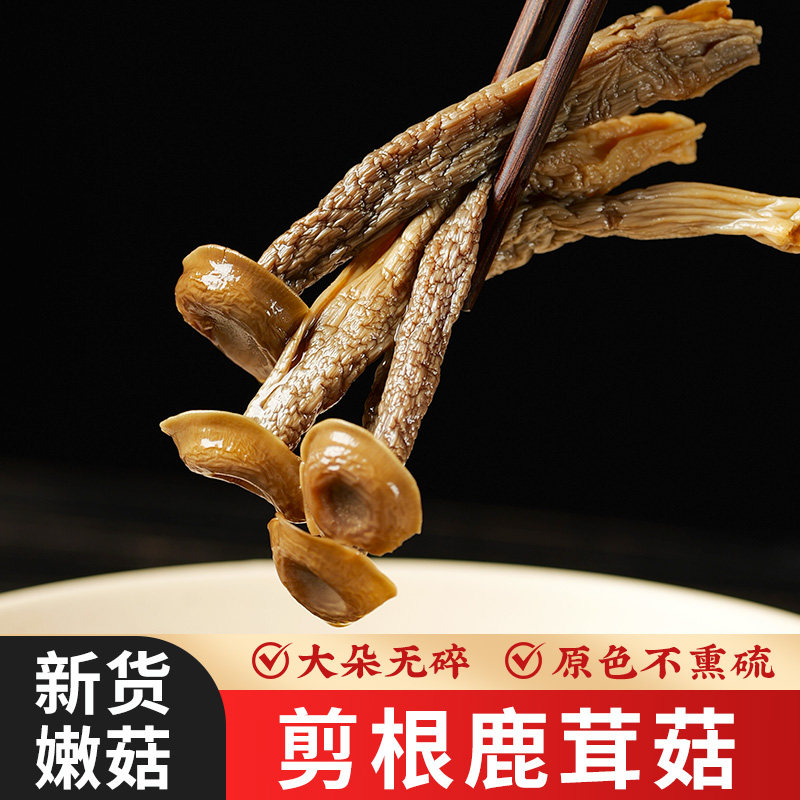 鹿茸菇干货500g剪根大朵鲜嫩图片