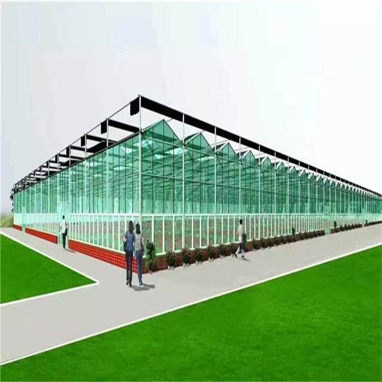 全自动玻璃温室大棚骨架承建各种工程温室骨架造价苗床无土栽培