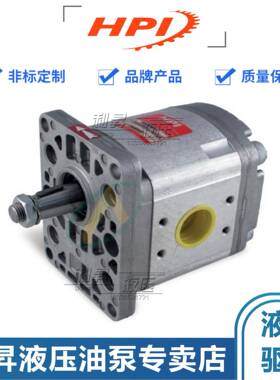 原装法国HPI液压齿轮泵C5089545/P1BAN2008BL10B02N油泵马达