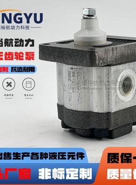 罗茨液压泵RONZIO齿轮泵01ZAG11C401D01ZAG32C442D01ZCG42N600D