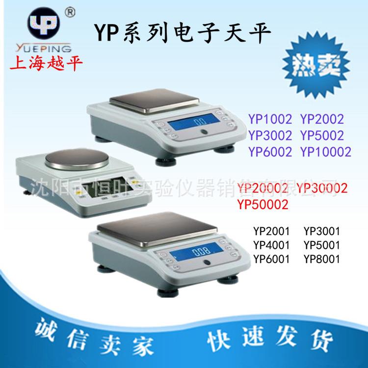 YP10022002500210002电子天平分析天平电子秤