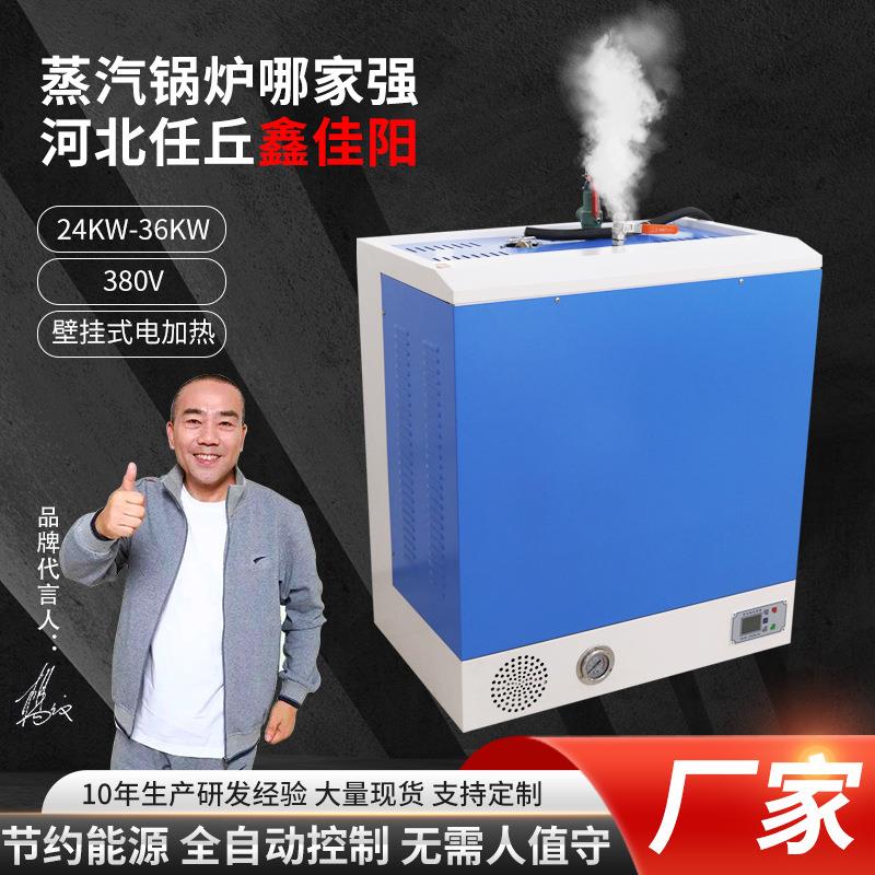 供应加热壁挂式蒸汽发生器24-36KW水泥养护服装整烫蒸汽锅炉