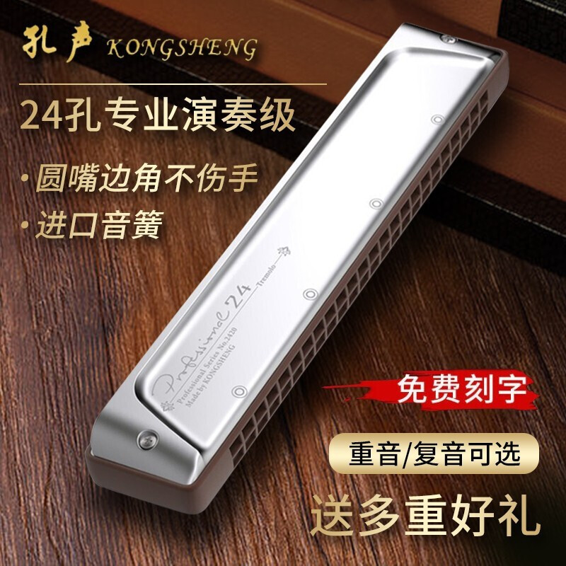 孔声24孔复音重音口琴NO.2420小调特殊调12调齐全演奏练习口琴图片