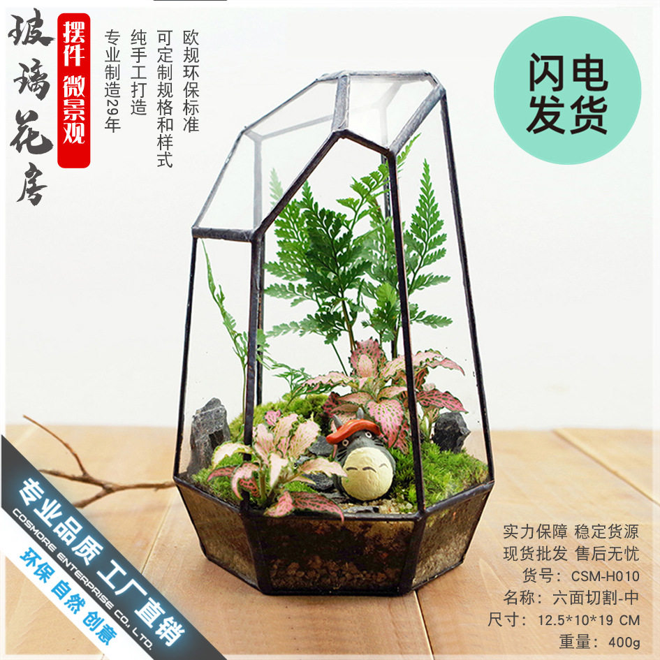 创意桌面苔藓造景雨林微景观容器皿生态瓶玻璃花房花盆六面切割中