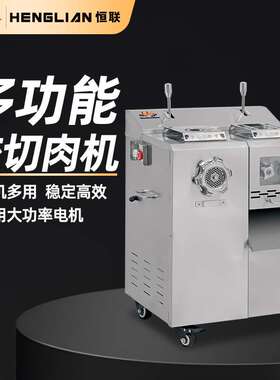 恒联 绞切肉机商用 立式多功能大功率绞切肉机 JQHS400L绞碎