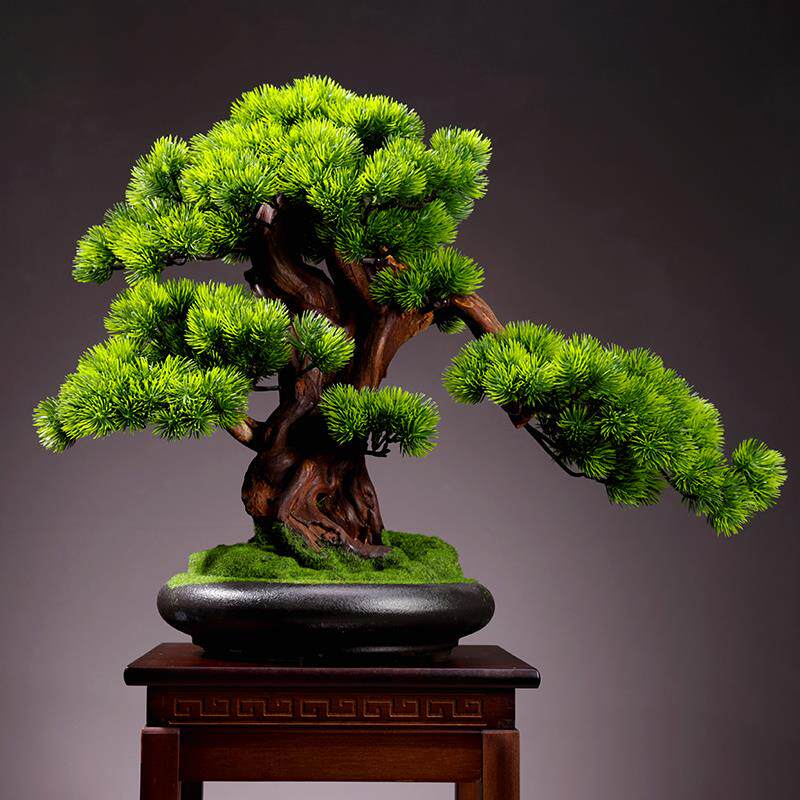 客厅植物盆景室内迎客松绿植盆栽大型假树桌面微景观装饰摆件
