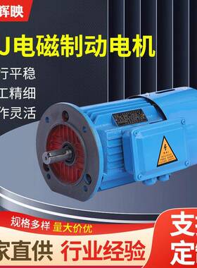 YEJ电磁制动电动机机械设备用电机全铜马达电磁制动三相异步电机