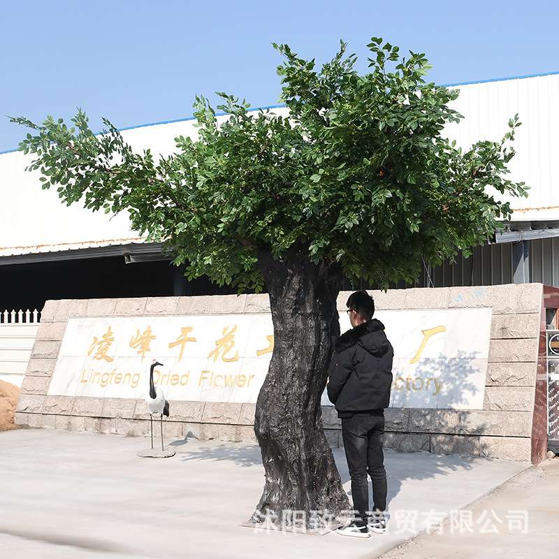 致云生产仿真桂花树酒店户外景观装饰花树绿色植物盆景人造桂花树