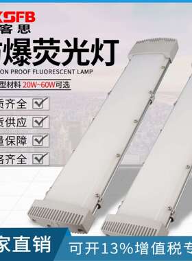 BPY-20W40W隔爆型应急荧光灯60W单双管防爆灯1米LED防爆应急防爆
