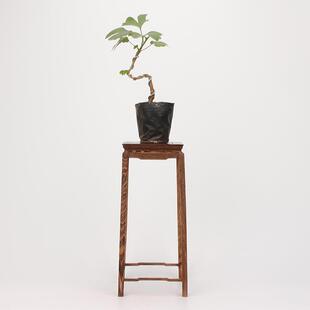 红实木底座盆像鸡木小型花JTS架茶壶翅佛多肉景花瓶微型高脚花几