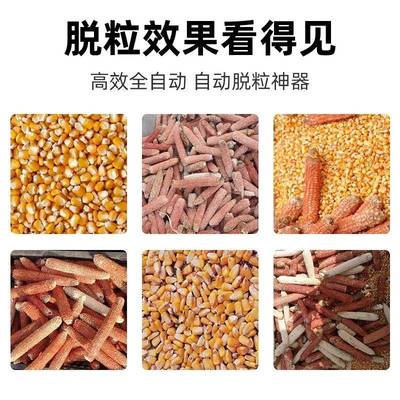 立小式玉米脱粒机款用TKN新款型家220v加厚全自动免剥皮苞谷剥粒