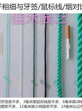 粗绳子捆绑绳细子耐磨晾衣晒被绳外户货车CDT绿色聚烯塑料绳尼乙