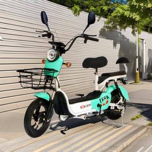 直销欢乐豆电动自行车成人电动自行车e bike电单车