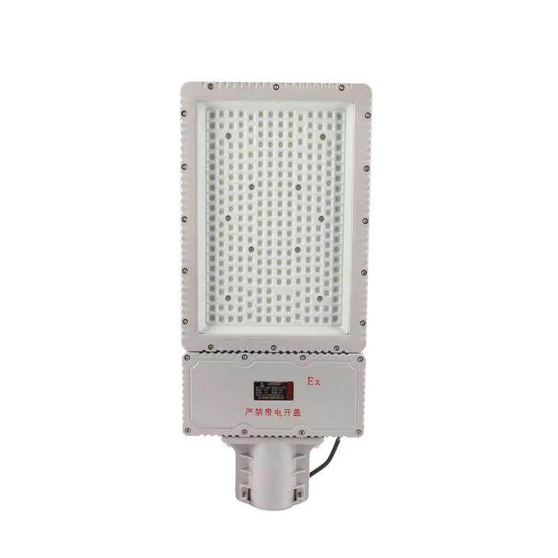 BLD610-120LED防爆路灯6米BAM52防爆马路灯100W
