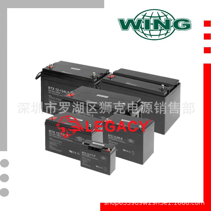 德国WING蓄电池BTX12-55LS、WING电池12V55AH应急电源及型号