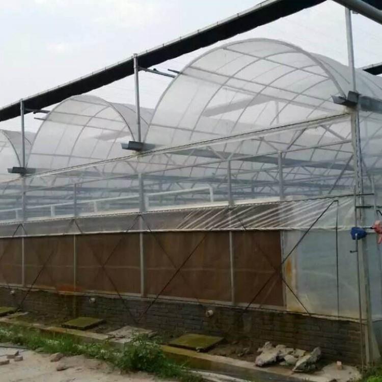 性价比高智能po膜薄膜温室智能双拱双模圆拱形拱棚菊花育苗基地