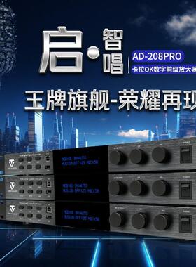 Winner/天逸AD-208PRO专业KTV卡拉OK前级音频混响处理器效果器