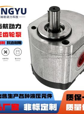 罗茨齿轮泵RONZIO齿轮双向马达02ZLG08A349R02ZCG14L441R液压泵