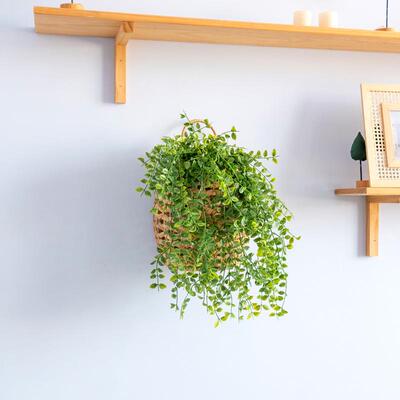 纸绳25GZ4340编壁挂篮厨房姜篮蒜物置挂墙壁收纳筐手工编织插花装