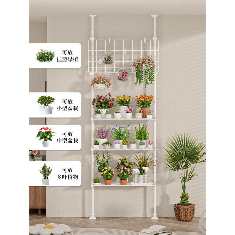 肉花架置物架植阳台层架顶天地客厅支撑杆展示架多室内8ziPcpKf物,收纳整理,书桌收纳置物架,淘宝优惠券,粉丝福利购,淘宝优惠卷