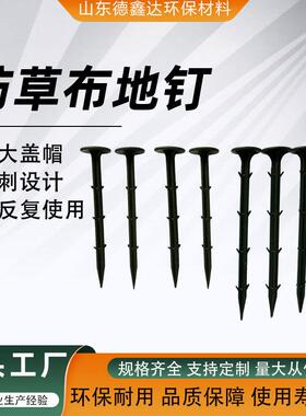 防草布地钉倒p料大棚温AASp塑室园艺固定刺农用地钉源头厂家