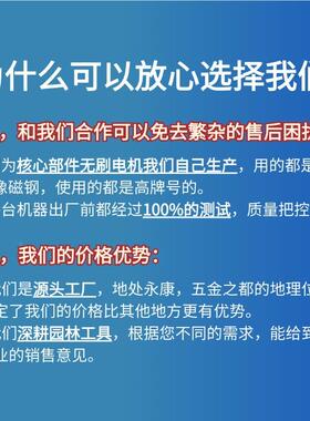 锂电锯12728寸刷户园林伐木修枝锯家用手外持充电无式电链锯