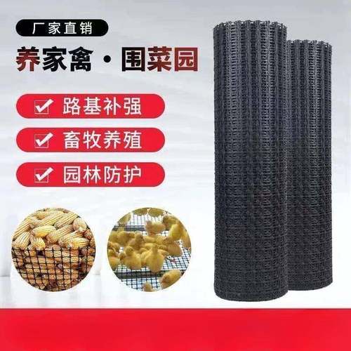 鸡网加厚养UBA鸡鸭围栏拦养塑料网殖网圈地菜园防护网玉米胶网格
