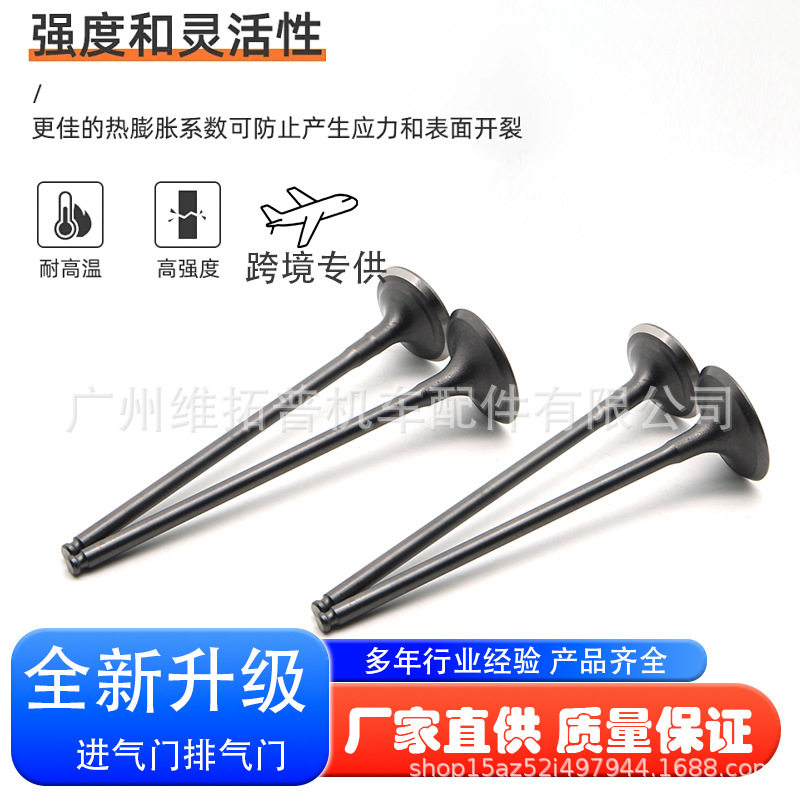 钱江贝纳利追/赛600黄龙600/300/BJ500GS-A幼狮500金鹏502X气门
