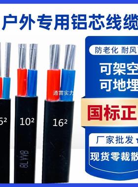国家1标2芯3芯电缆线铝芯用户外电线2.504PGO61625平方铝线护套