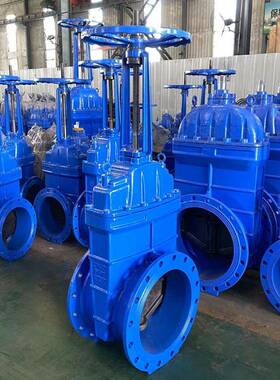 厂家供应Z1X明杆封软密法闸阀DN888100球墨铸铁4弹性兰密封闸阀