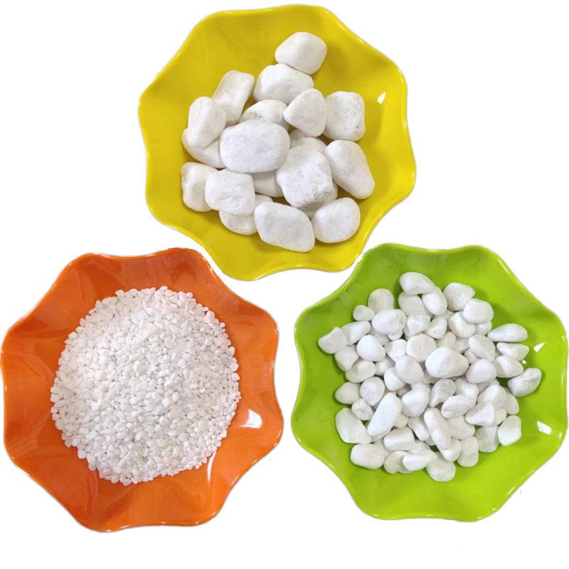 厂家供应园艺白色小石色236头白玉别墅园林铺路白石子石卵白鹅石