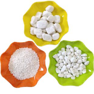 厂家供应园艺白色小石色236头白玉别墅园林铺路白石子石卵白鹅石