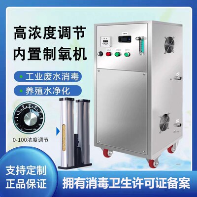 20g50g100g高浓度臭氧发生器水处理氧气源臭氧消毒机水产养殖脱色