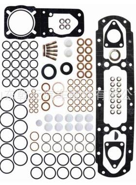 柴油机修理包2417010004喷油泵成套零件800004