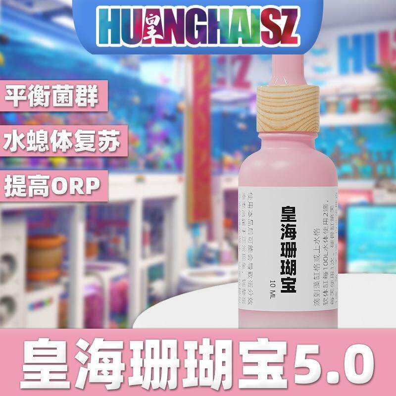 皇海珊瑚宝5.0海缸单苞花花触手恢复共肉水螅体提高ORP平衡菌群